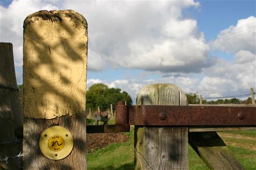 The Nene Way long-distance footpath passes through the village